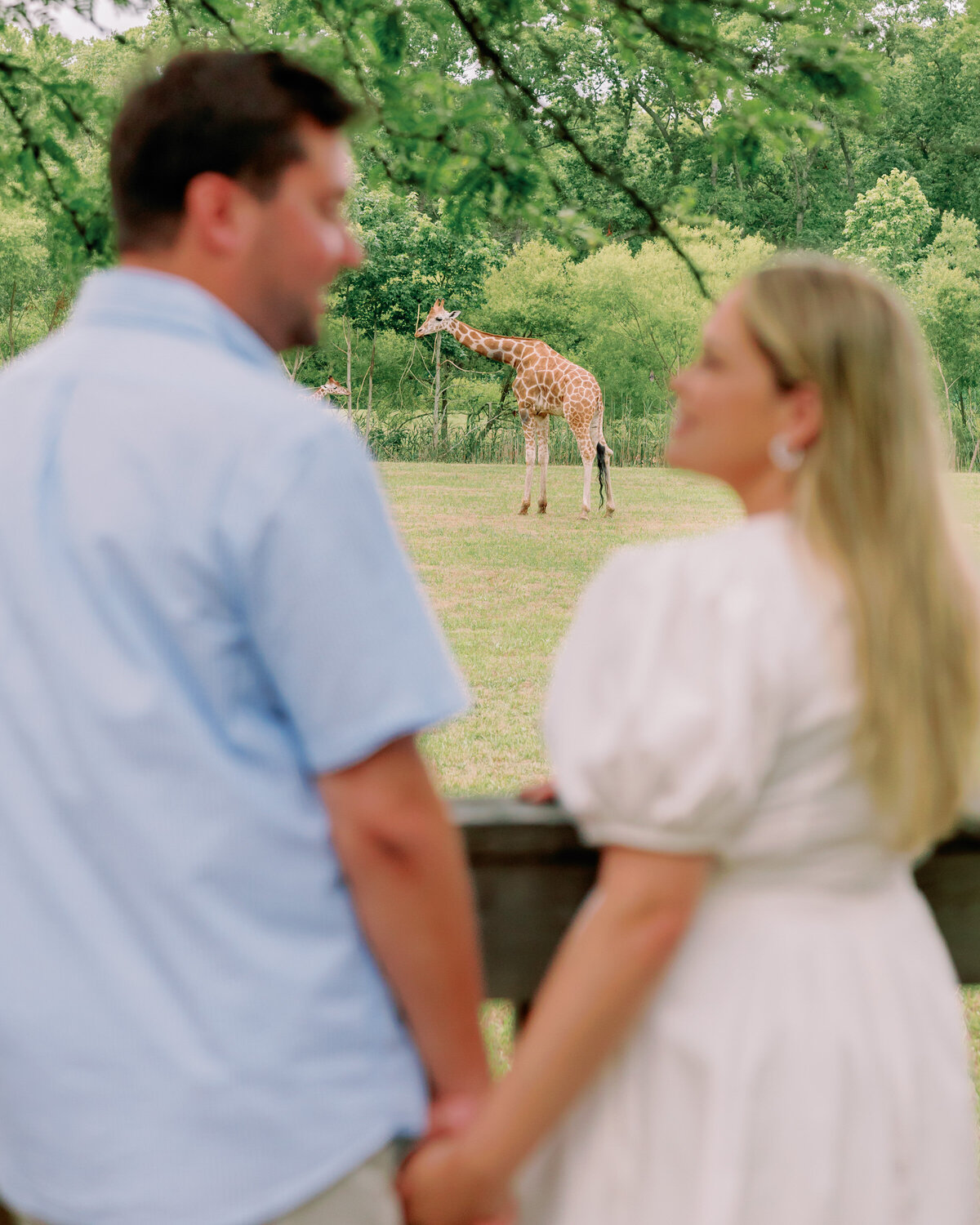 A couple holding hands with a giraffe seen in the distance between them 