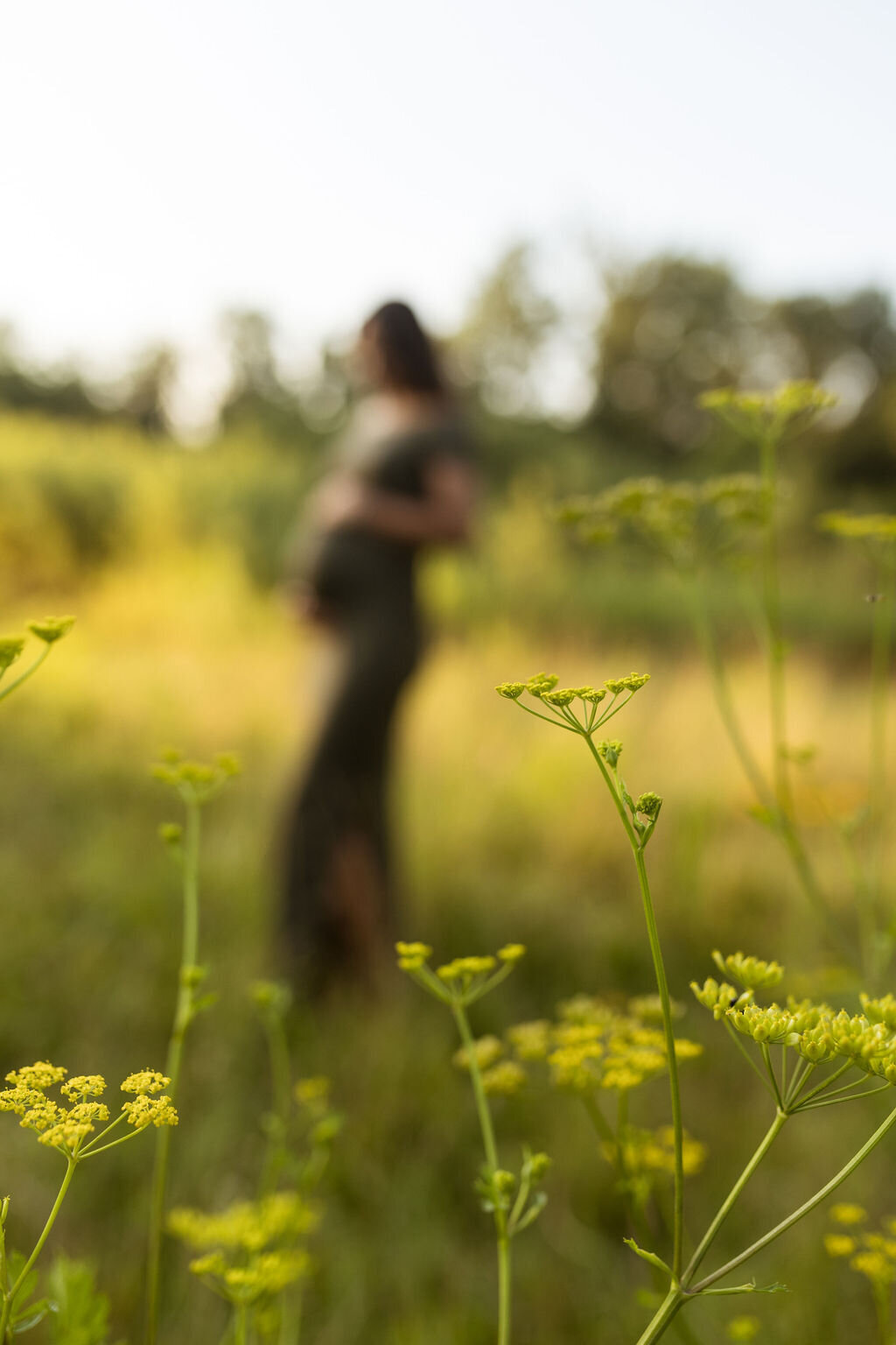 Oakland County maternity photography by Savvy Shoots Photography