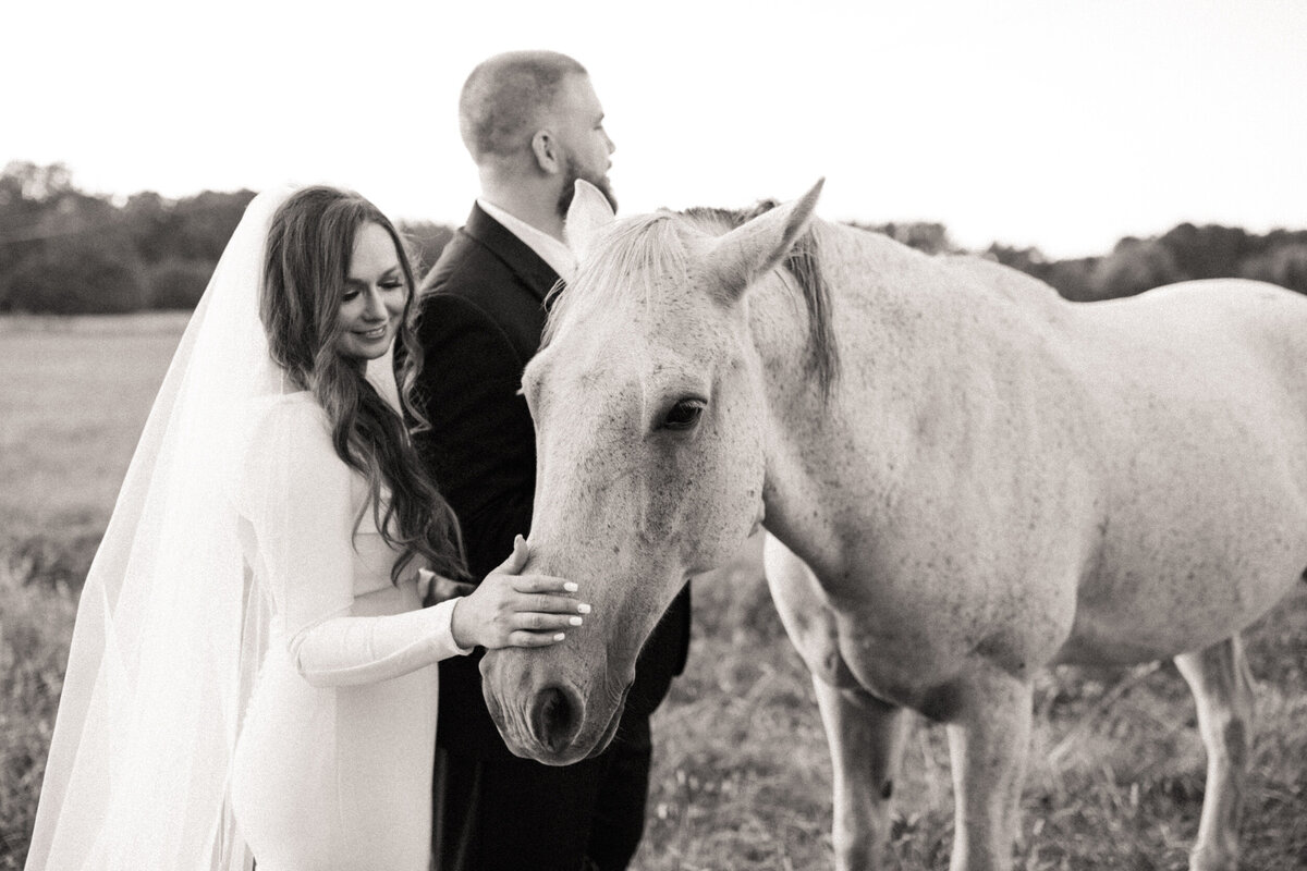 Couple in wedding clothes in a field petting a horse
