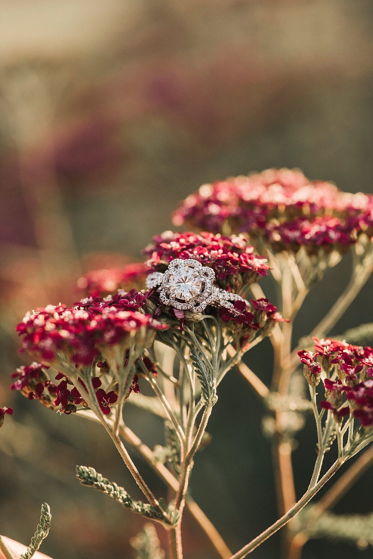 JHengagements-4