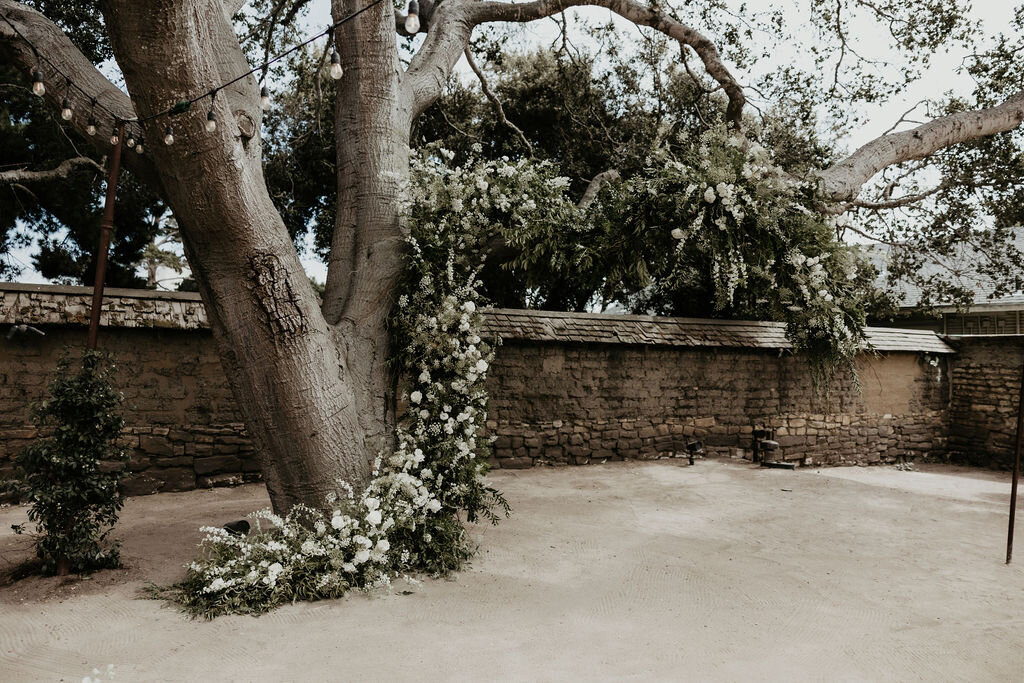 Modern-Rustic-Monterey-Wedding-SF-juju-148