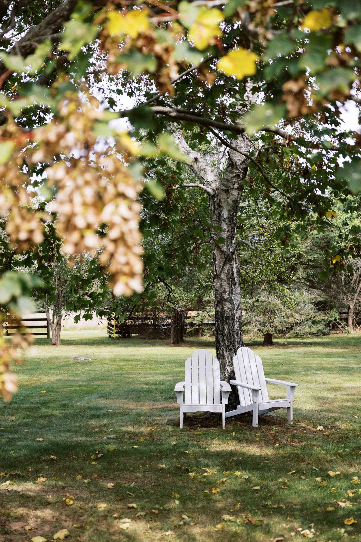 kontakosta-winery-long-island-wedding-photographer-312