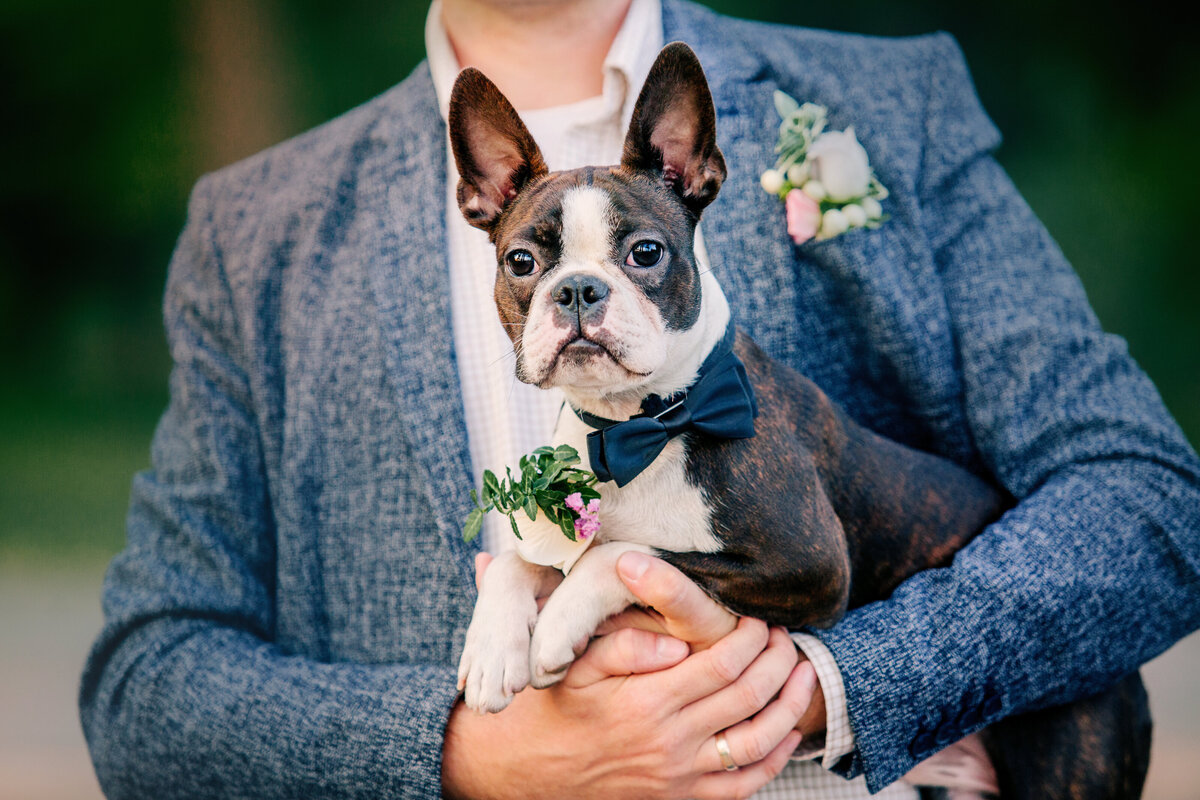 groom-with-his-dog-pet-friendly-wedding