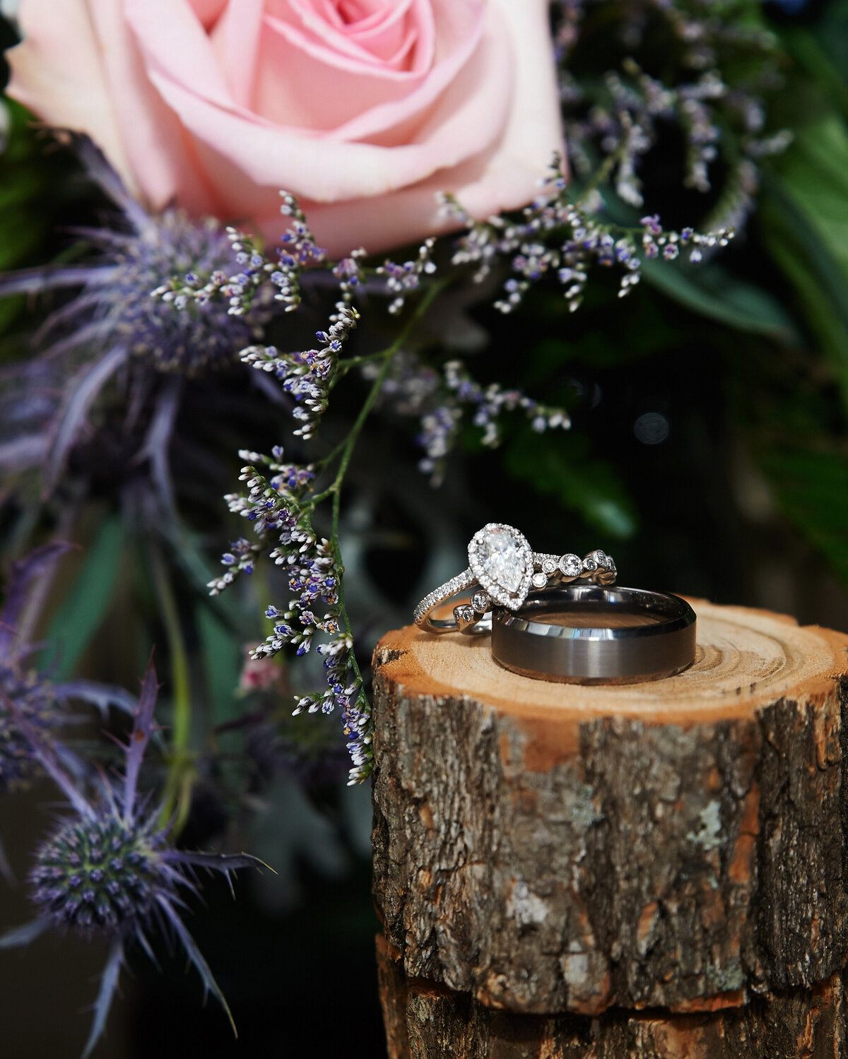Website_0015