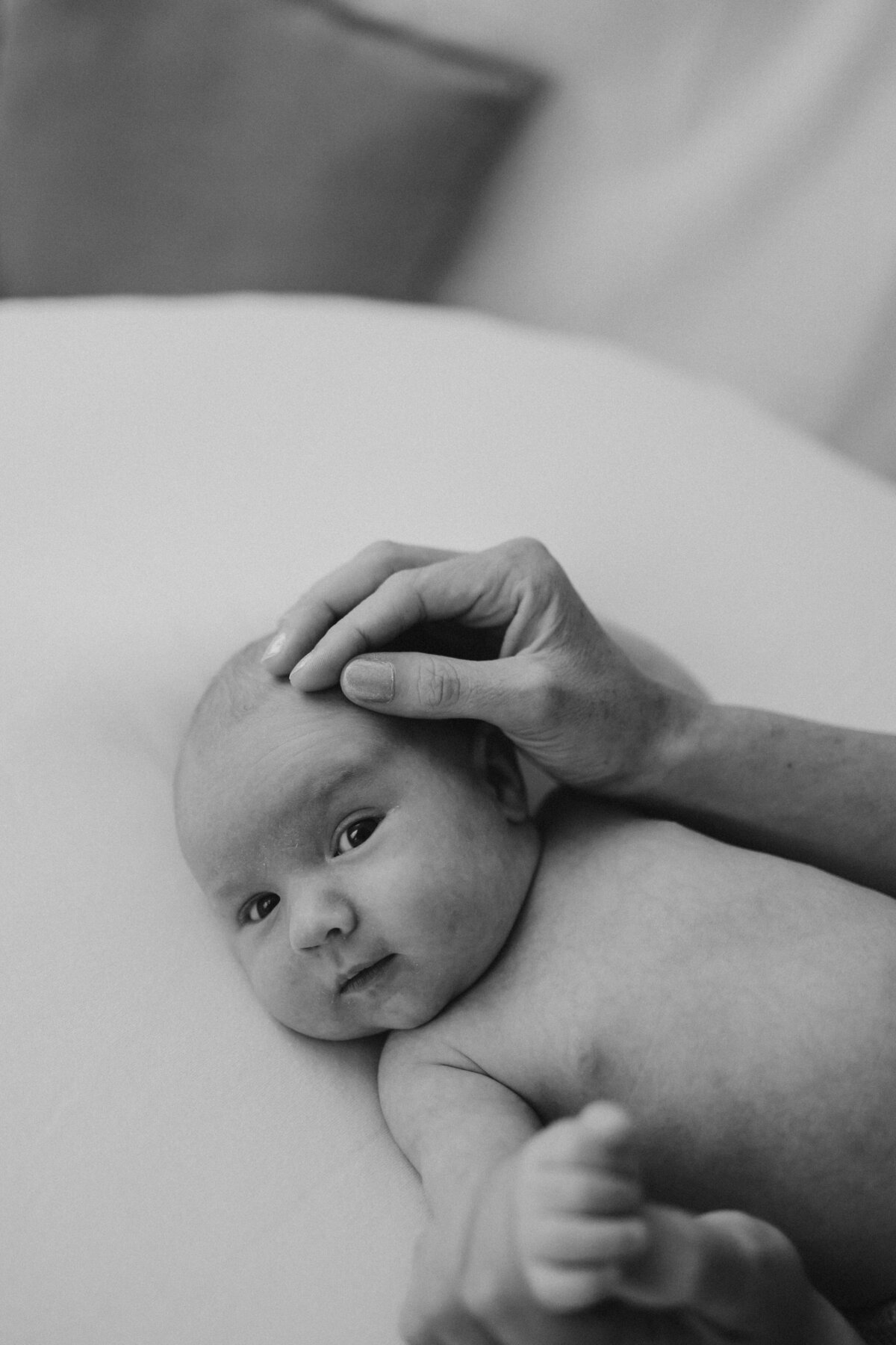LoriYoungPhotography-Jacob-16