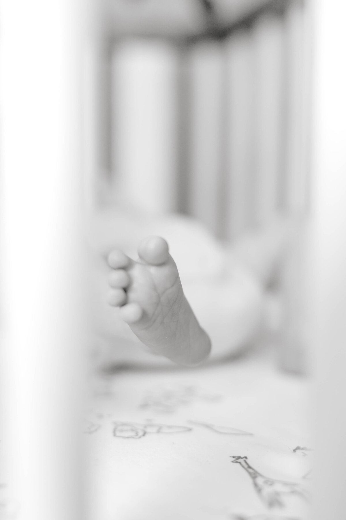 Powell Newborn-49