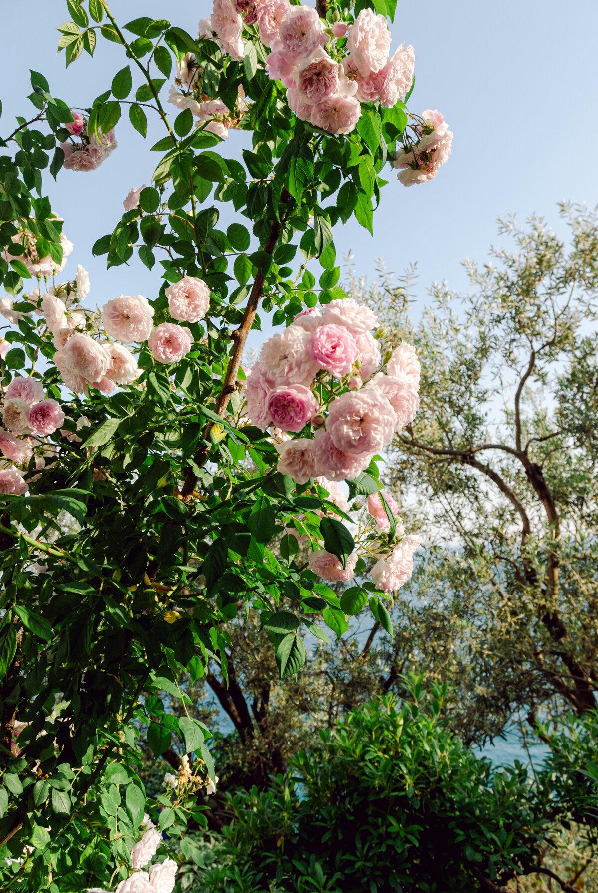 AbieLivesayPhotography-PositanoItalyWeddingPhotographer-VillaLighea-AmalfiWedding-14