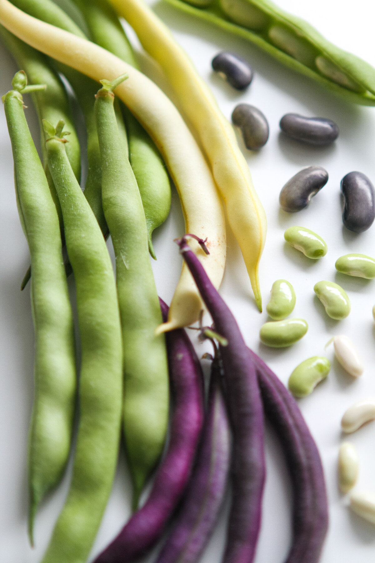 beans-vegetable-garden