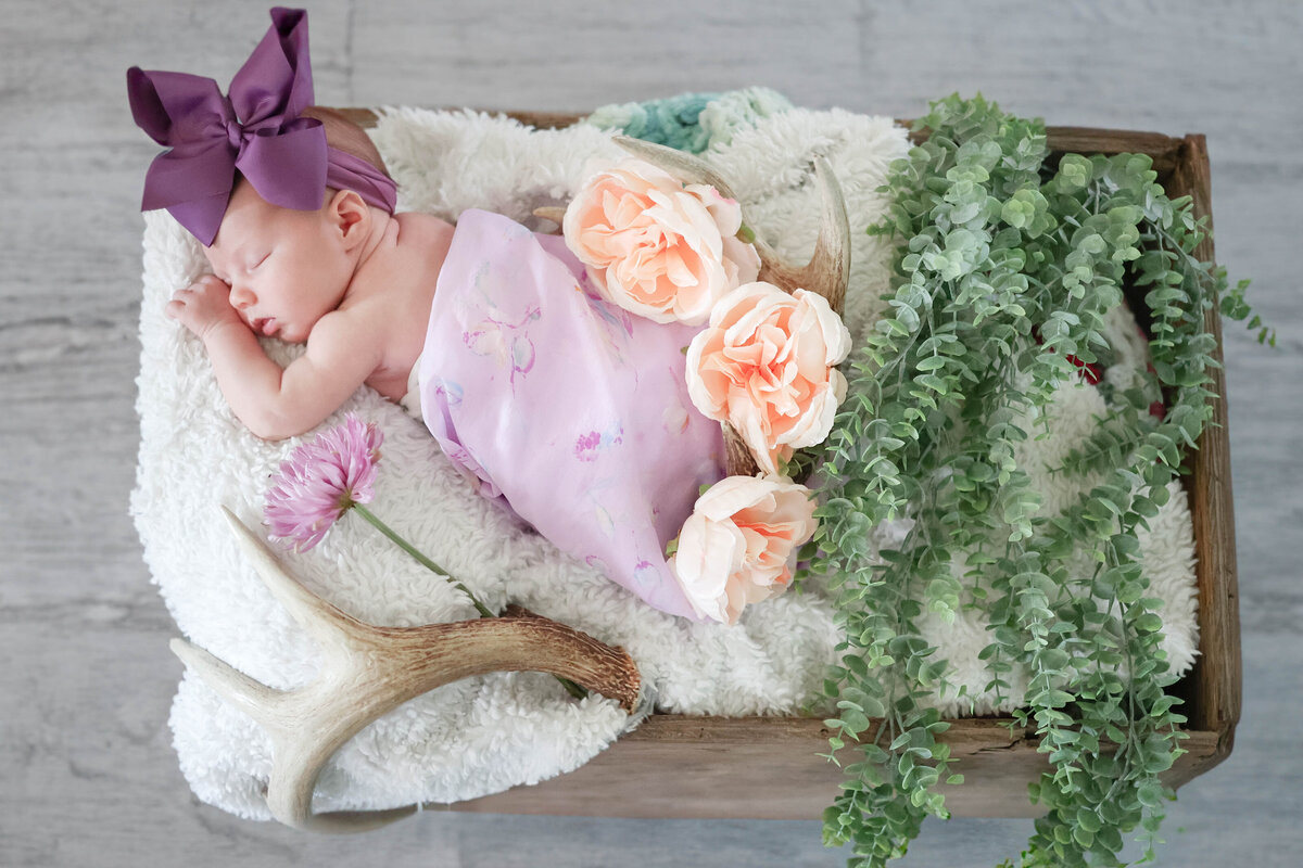 VandertieFamilySession_-26