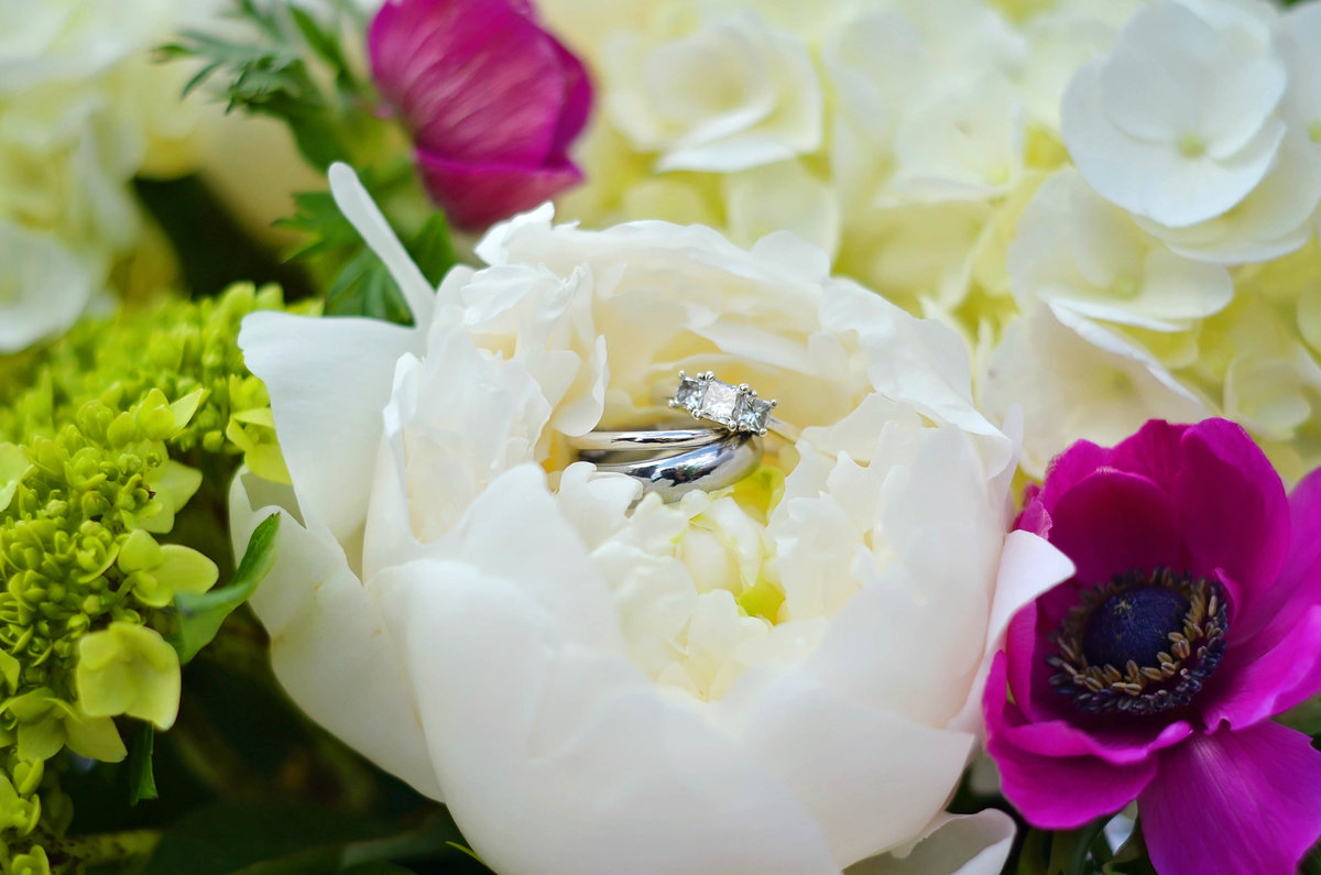 julia ring