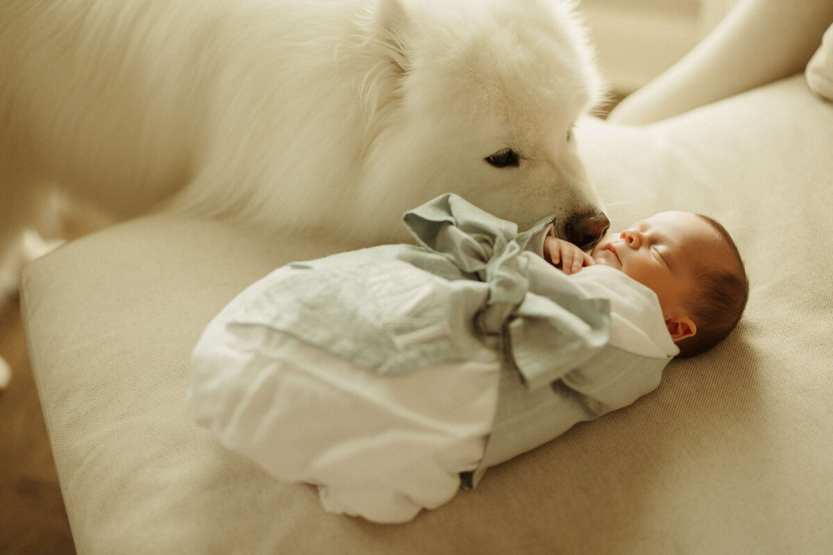 Newborn wrapped in neutral blanket during Franklin in-home lifestyle session