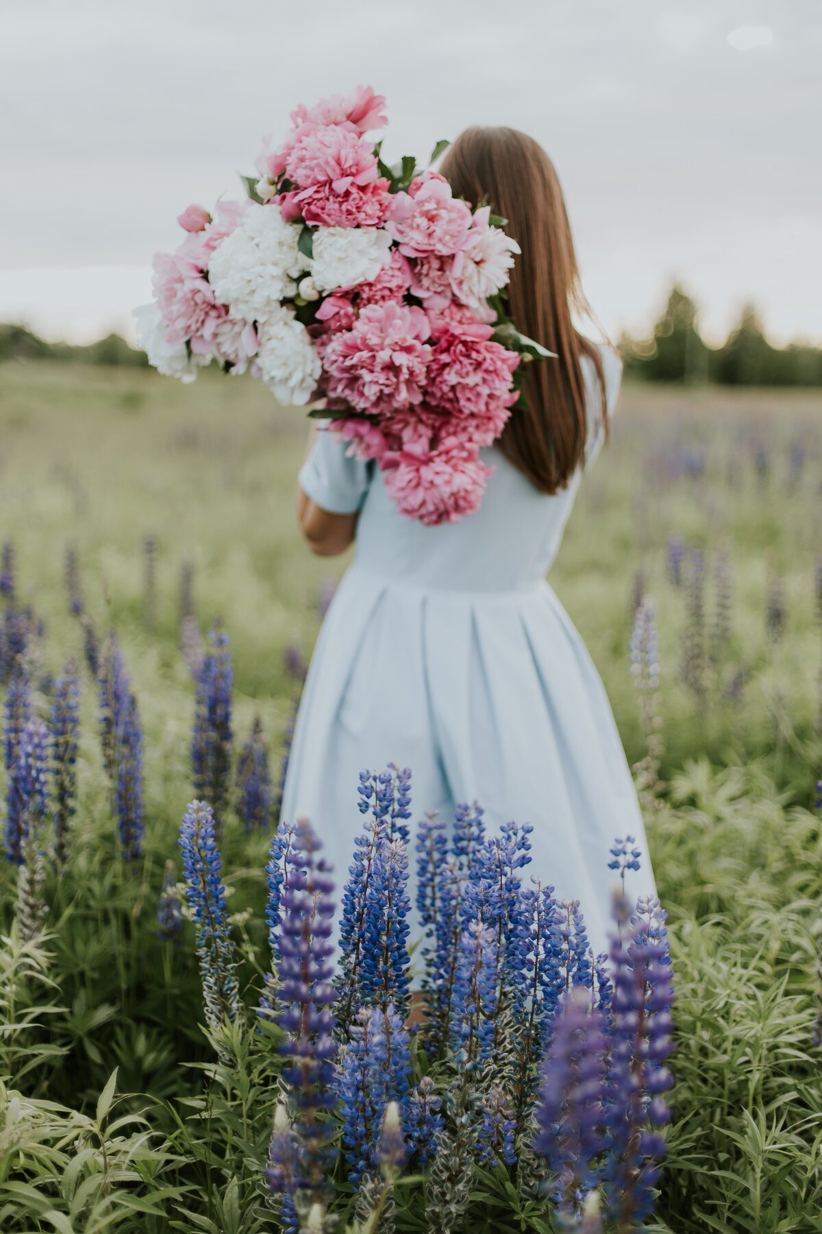 daiga-ellaby-BBWOJRP-dUQ-unsplash