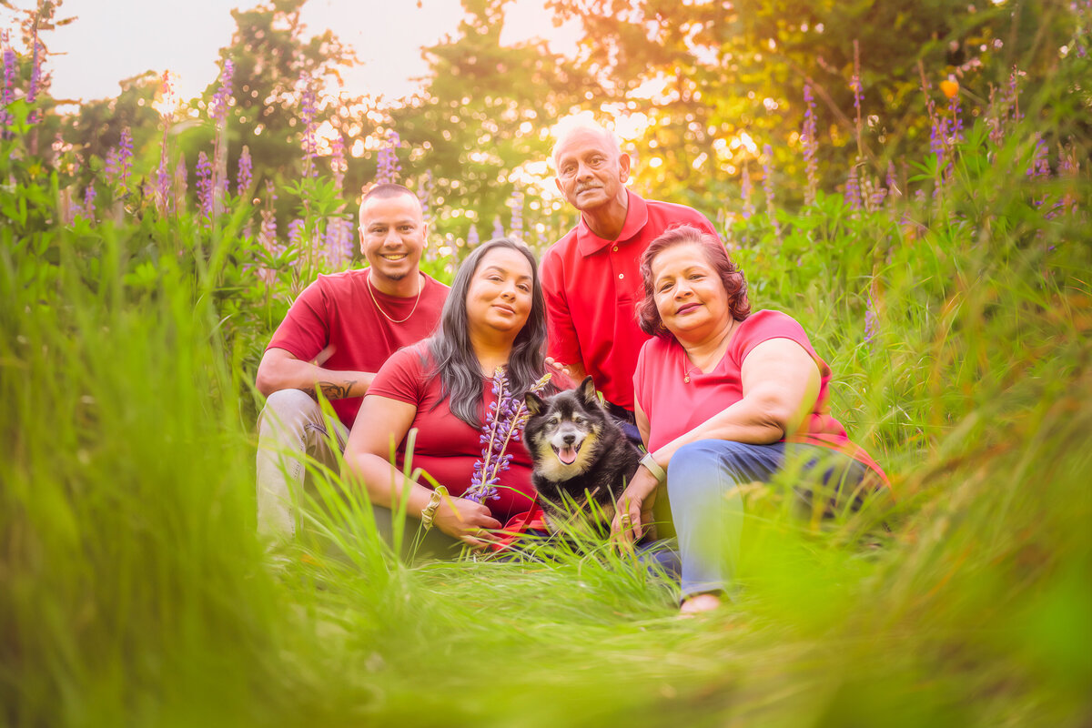 Our photo sessions are designed to celebrate the special bond between your family and your furry friends. With a relaxed and fun atmosphere, we ensure that everyone feels comfortable and at ease, resulting in beautiful, natural portraits that truly reflect your family's love and connection. Create lasting memories with your loved ones - book your session today!