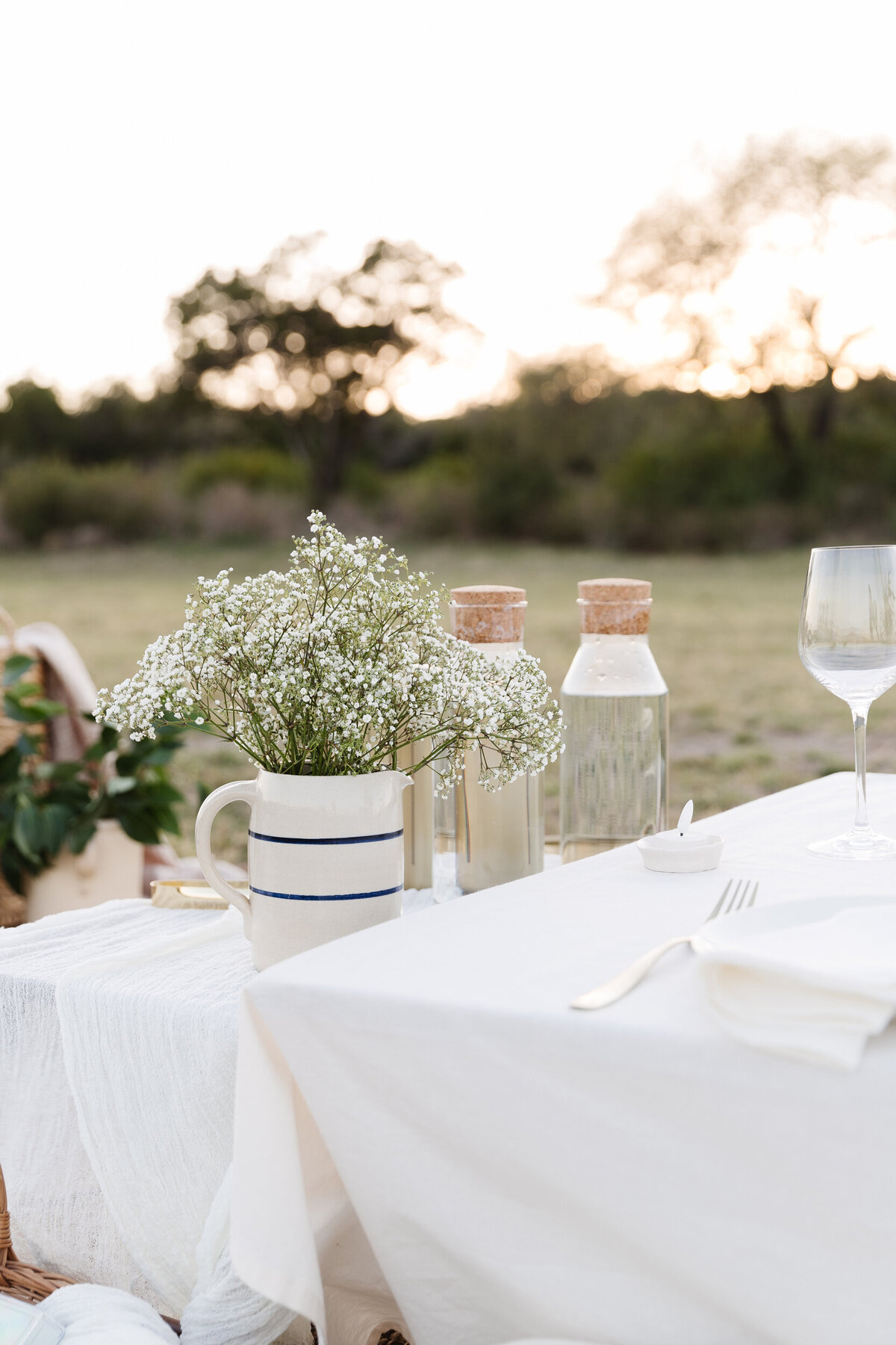 Austin Luxury Picnic - French Theme - Honey Social Picnic Co.