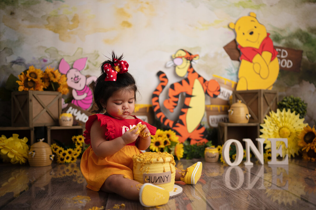 winnie the pooh cake smash one year