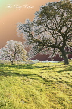 CRPIw0003