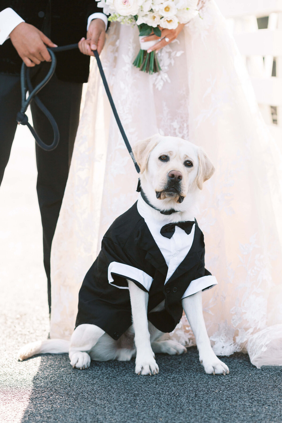 Lisa-Leanne-Photography_Bel-Air-Country-Club-Wedding_Los-Angeles-Wedding_Southern-California-Wedding-Photographer_27