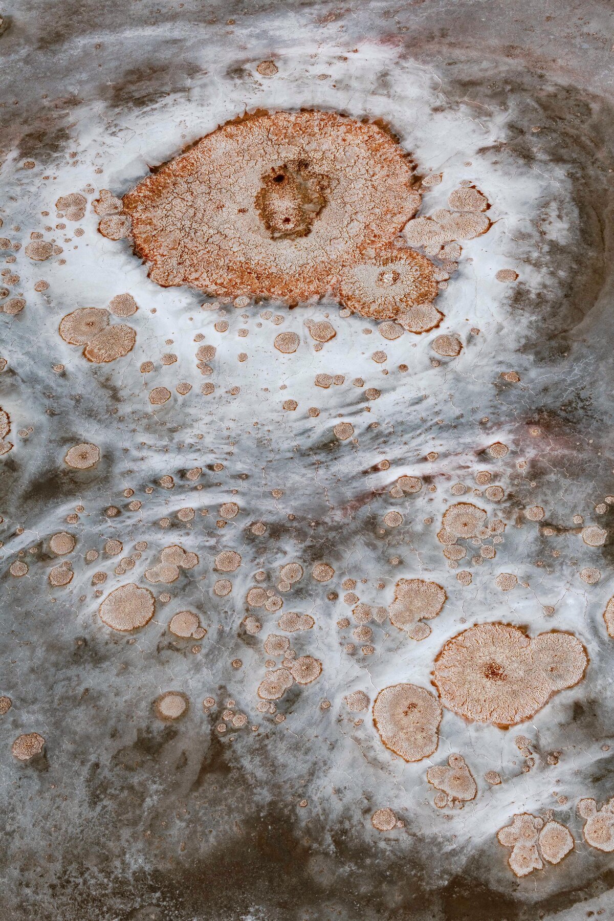 185A0979