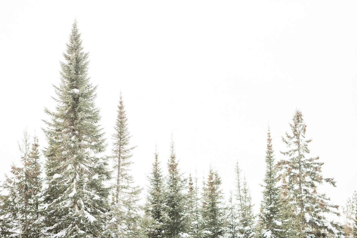 GunflintLodgeWeddingElopementTrailGrandMarais-16