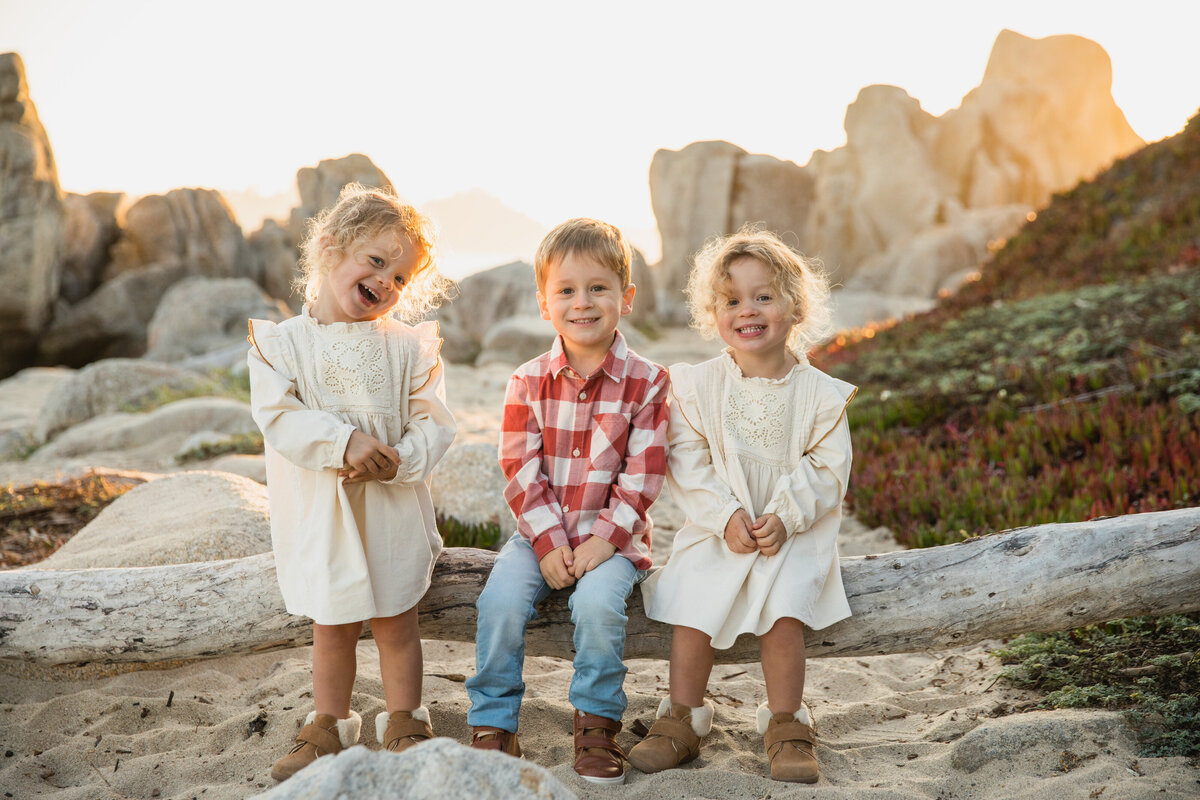 Big family photography in Monterey