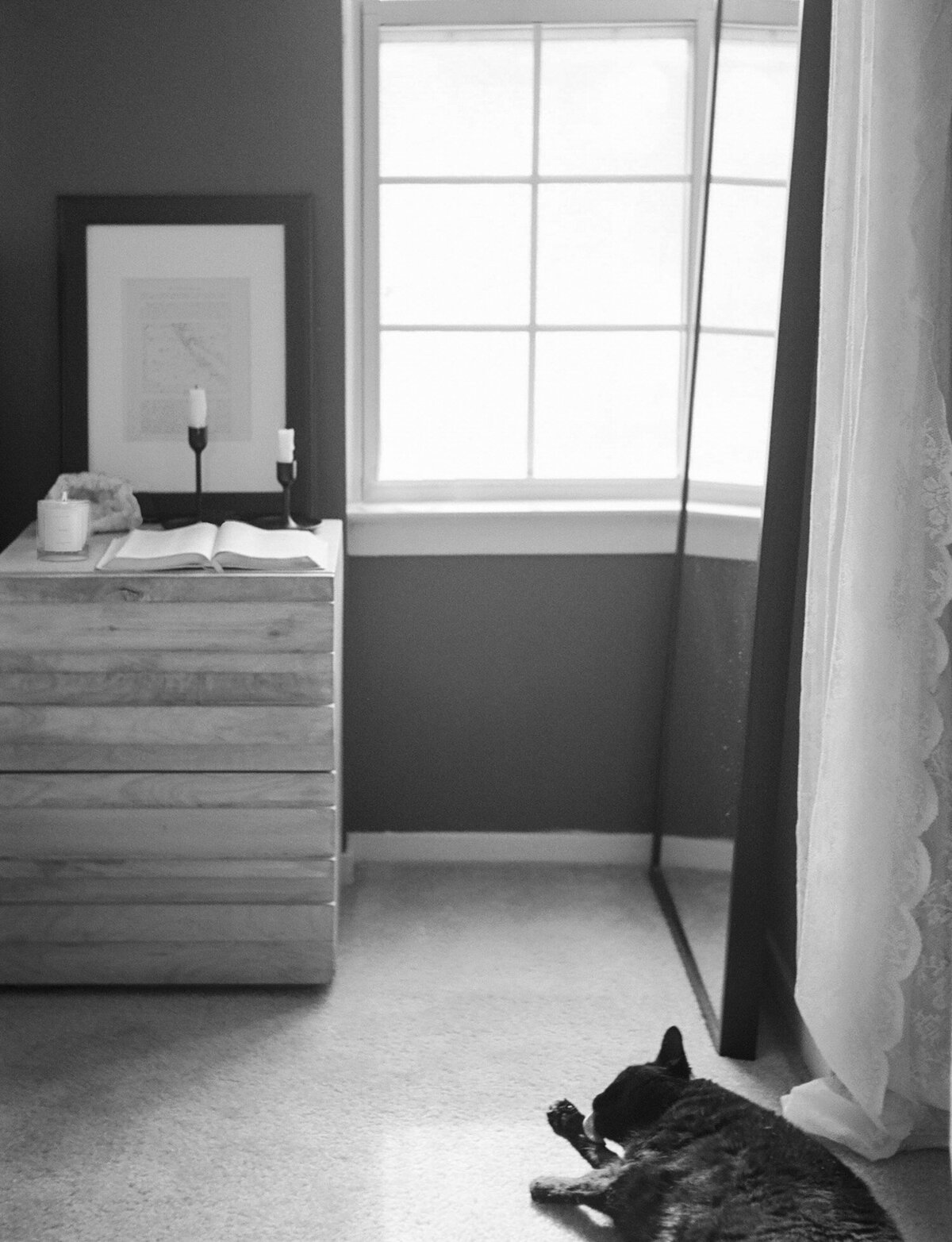 lazy cat cleans her paws in morning sunlight, bedroom interior photo, wood nightstand
