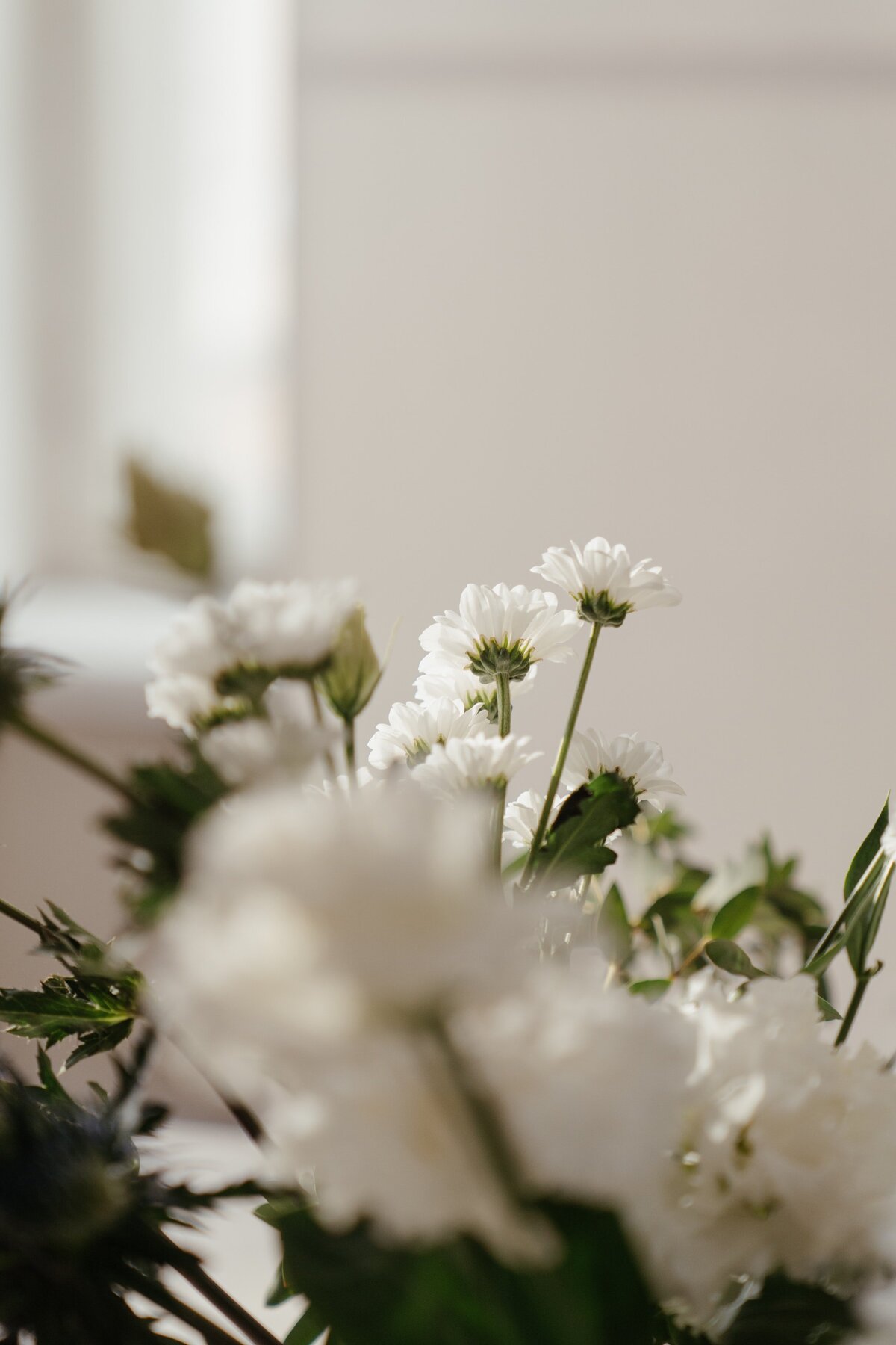 pexels-cottonbro-studio-4270216