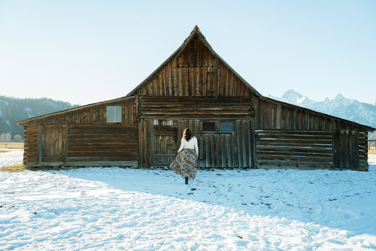 Senior session in the Grand Tetons, specifically Mormon Row. A girl is walking toward a rustic wooden barn with her back to the camera.