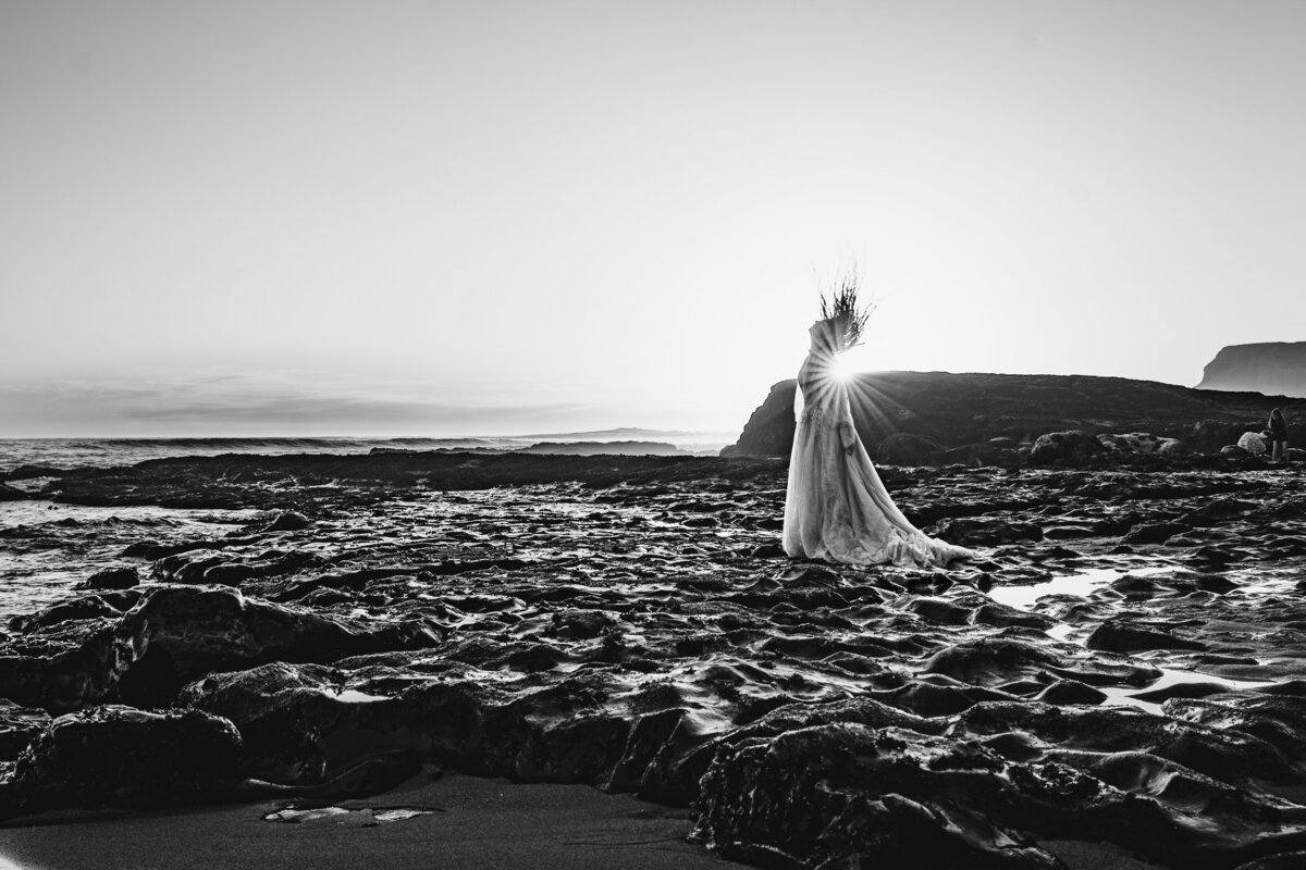 creative-monterey-claire-47
