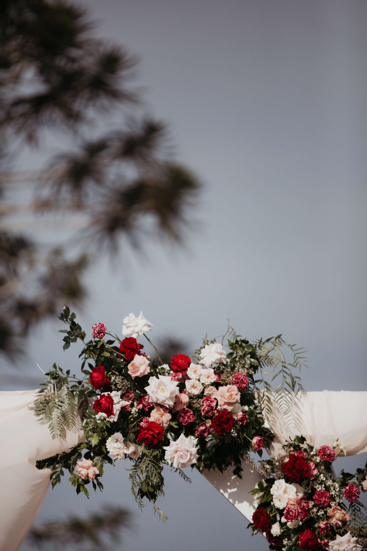 Romantic arbour flowers Bloom and Bush