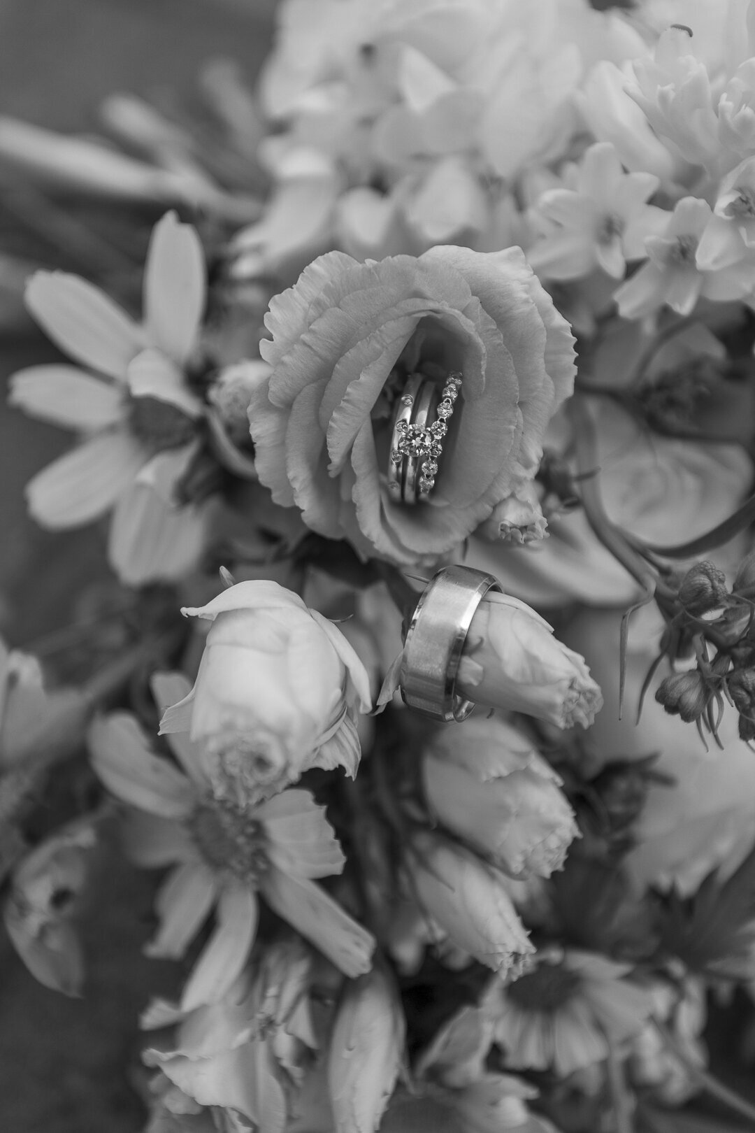 Wedding_Madison+David_021525-6