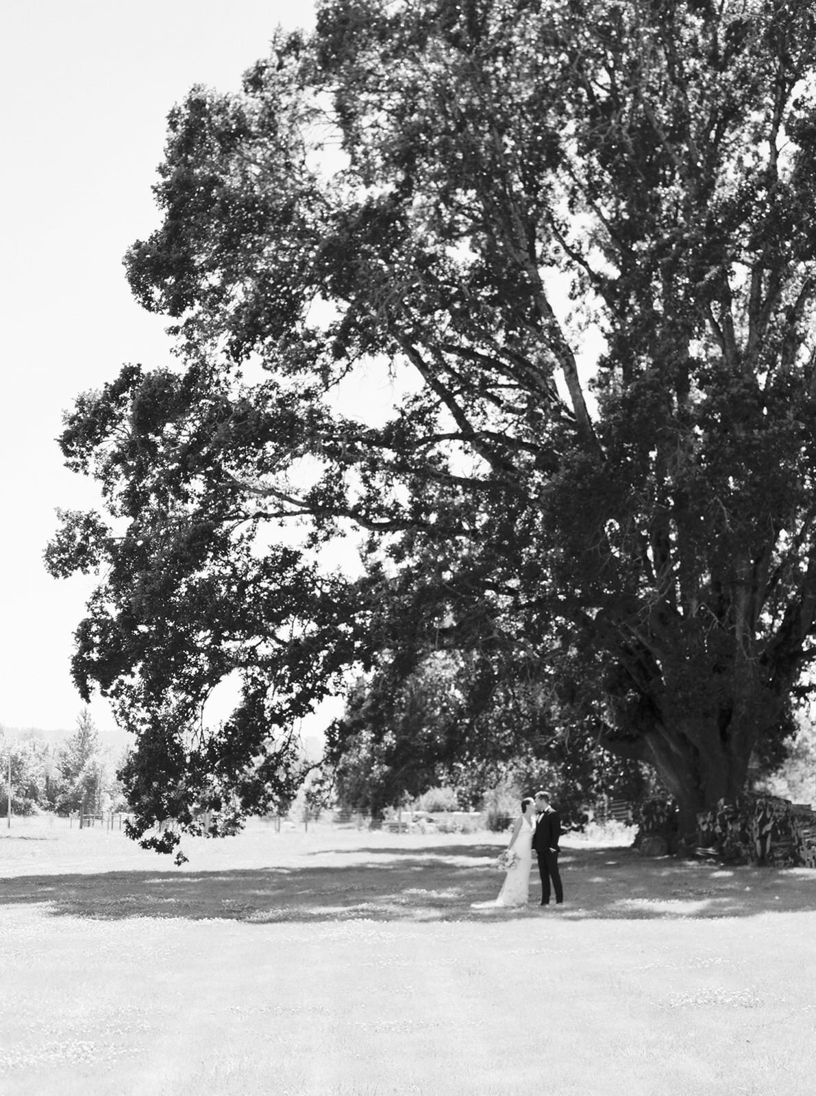 Carlos-Hernandez-Photography-Megan-Trevor-Wedding-Portland-Oregon-154