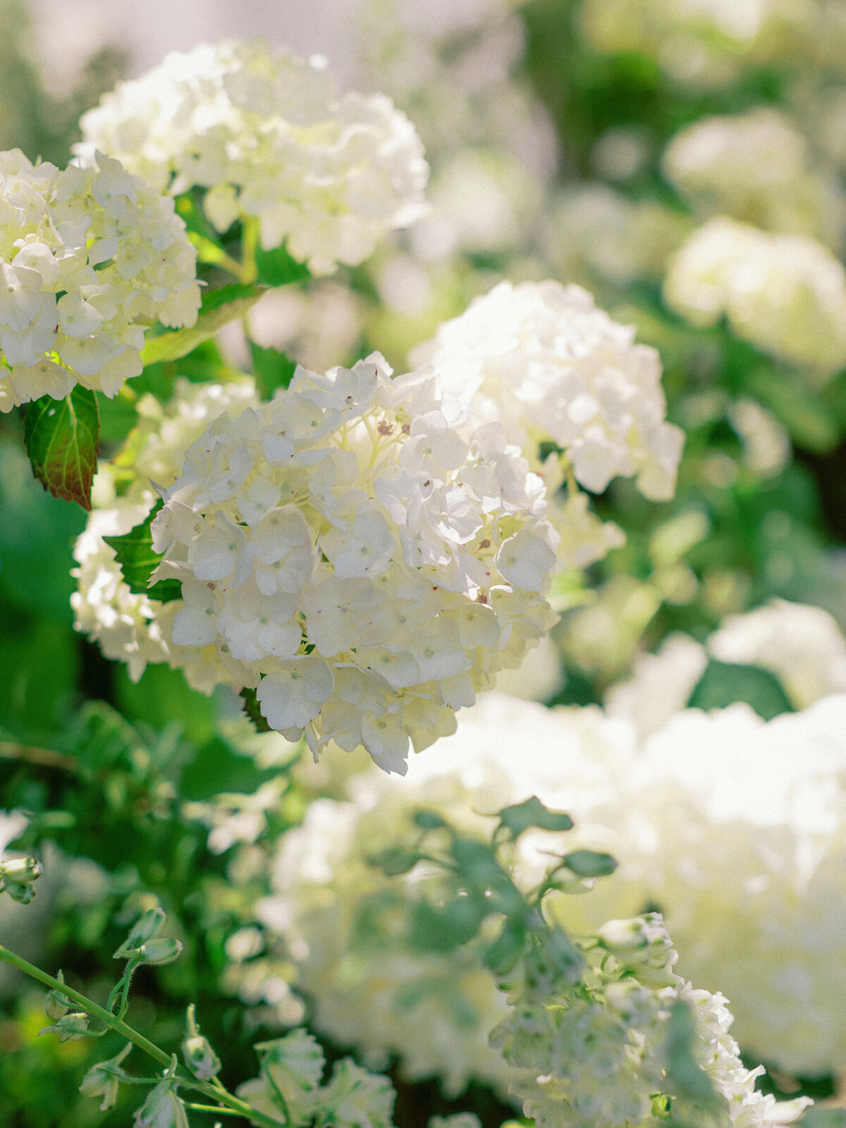 highlights_044