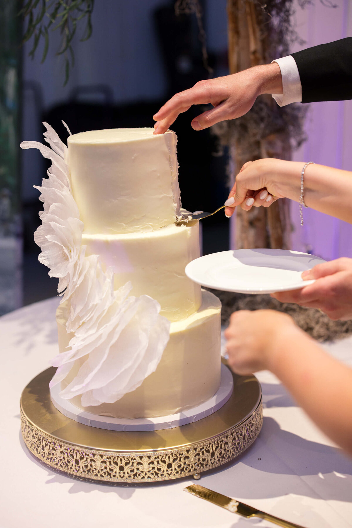 Hotel Bardo Savannah Wedding 101