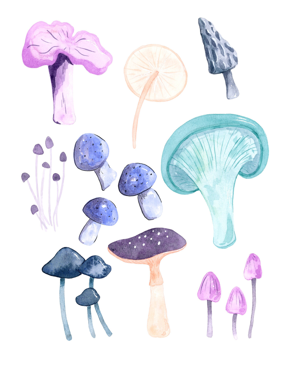 watercolor-mushrooms-8x10