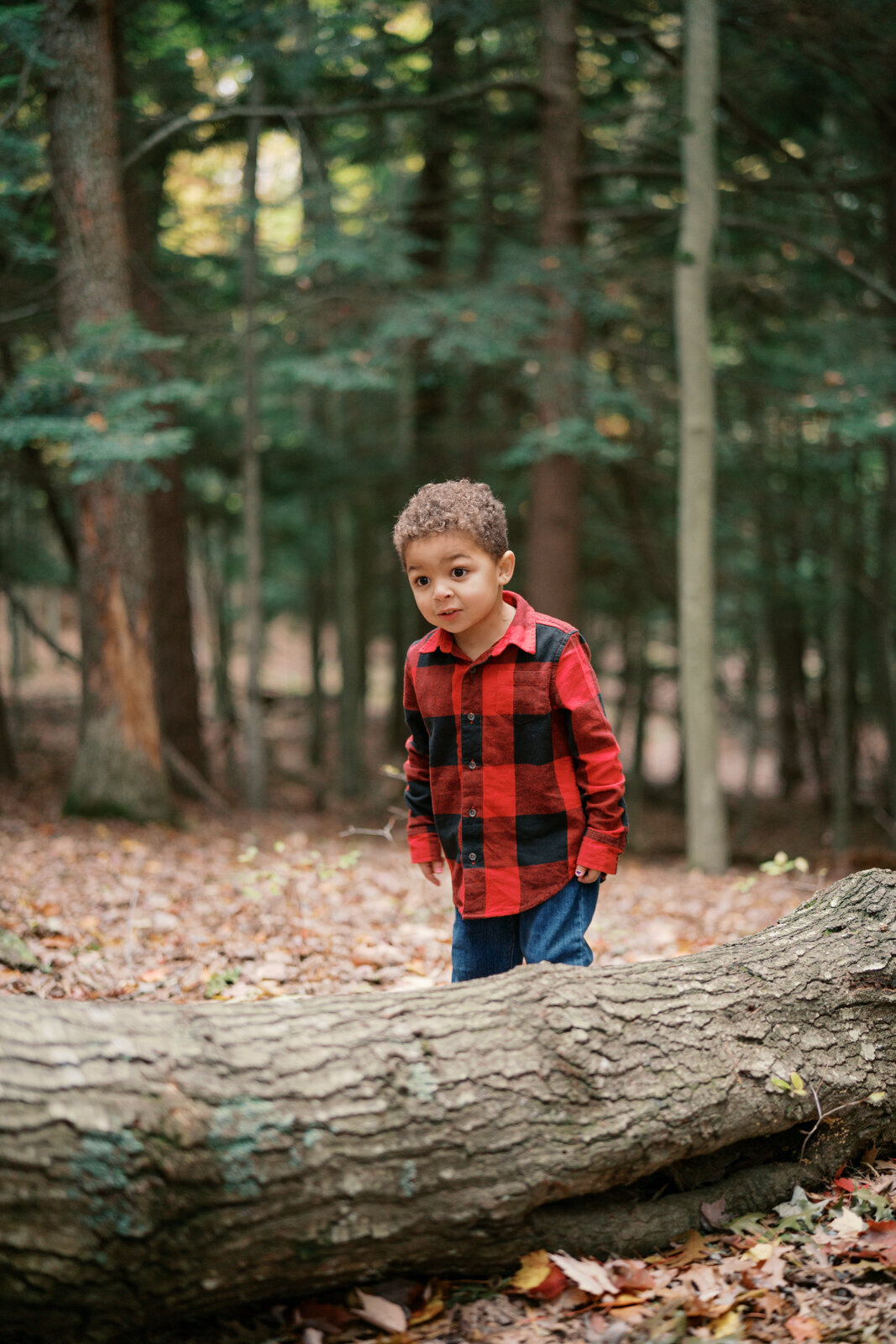 Grand Rapids Family Photographer-413