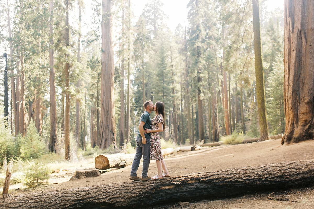 Jeffrey and Sam Engagement in Sequoia-286_websize