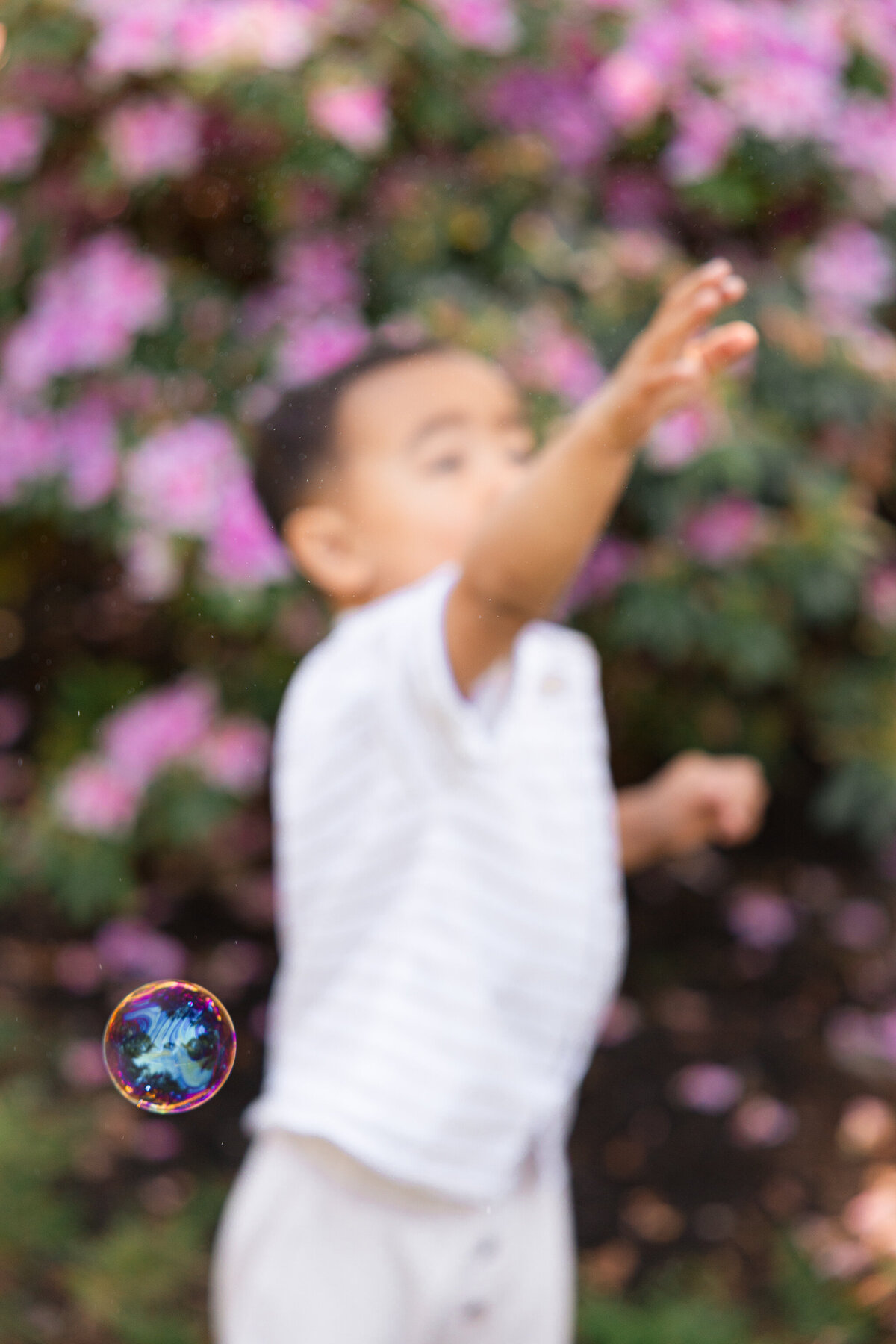 Piedmont Park Japanese Teahouse_Bay Area Family Photography_Valarie Duran Photography-7799