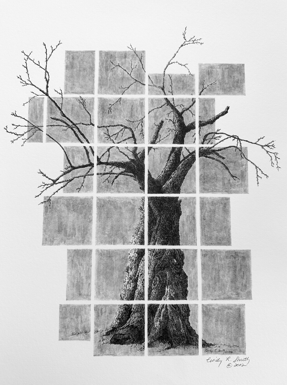 Cindy L Smith Apple Tree