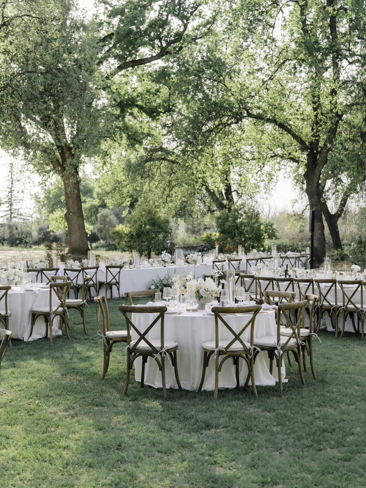 untitled-05572-22-Edit copy