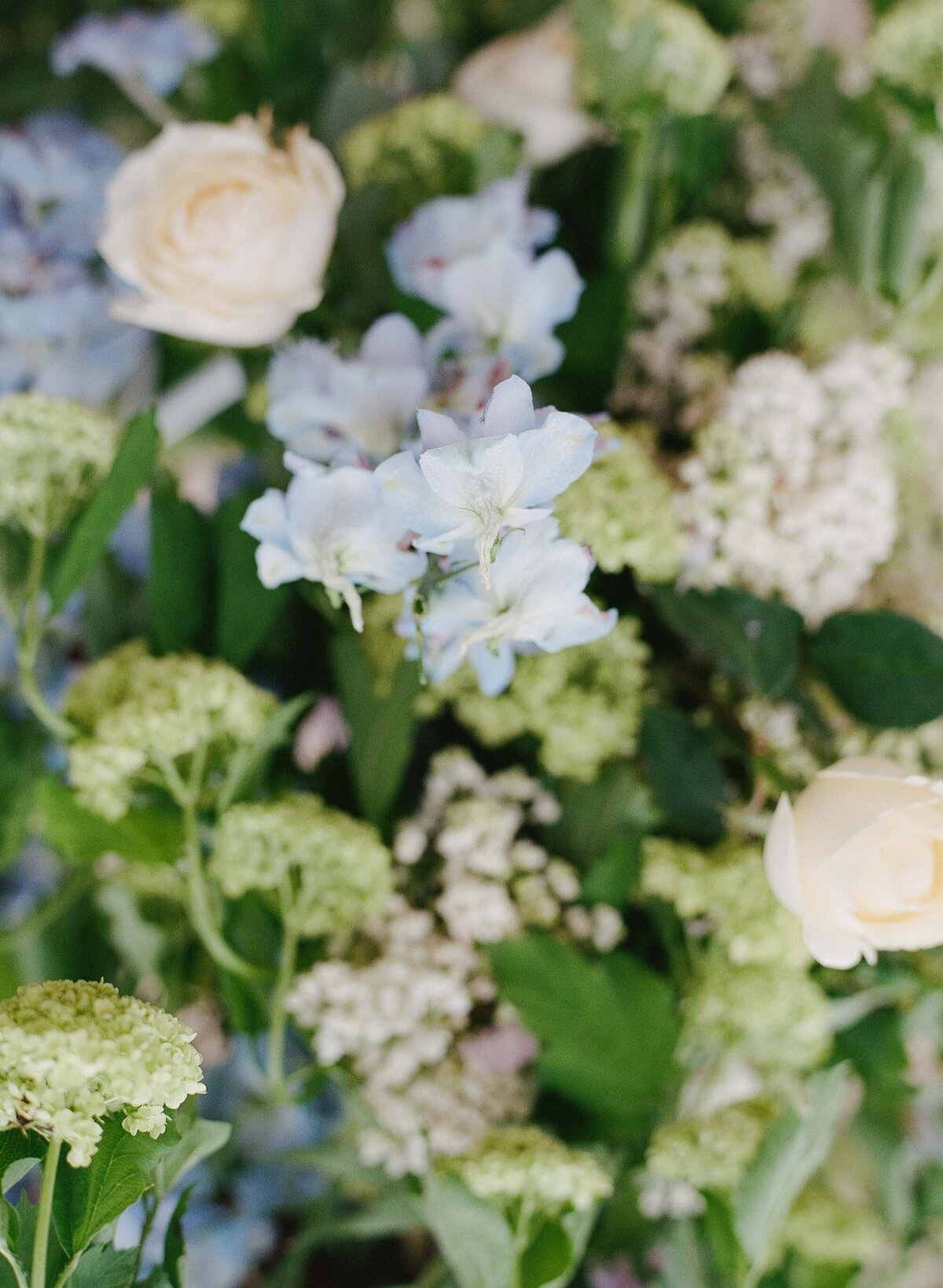 Chateau-Grand-Luce-Wedding-Photographer-Molly-Carr-115