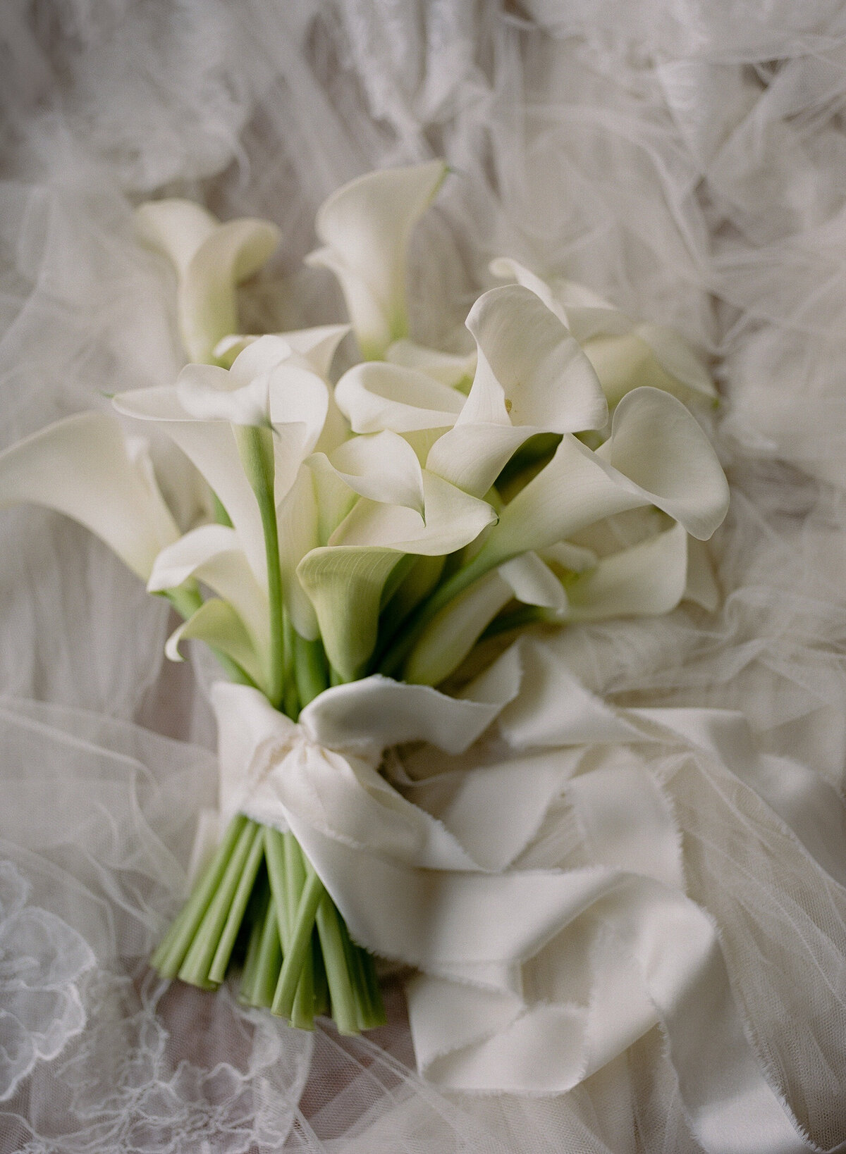 Tommy + Ellen Wedding-400