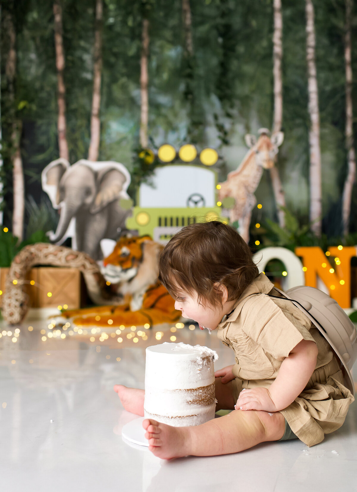 Safari Cake Smash- Amanda6