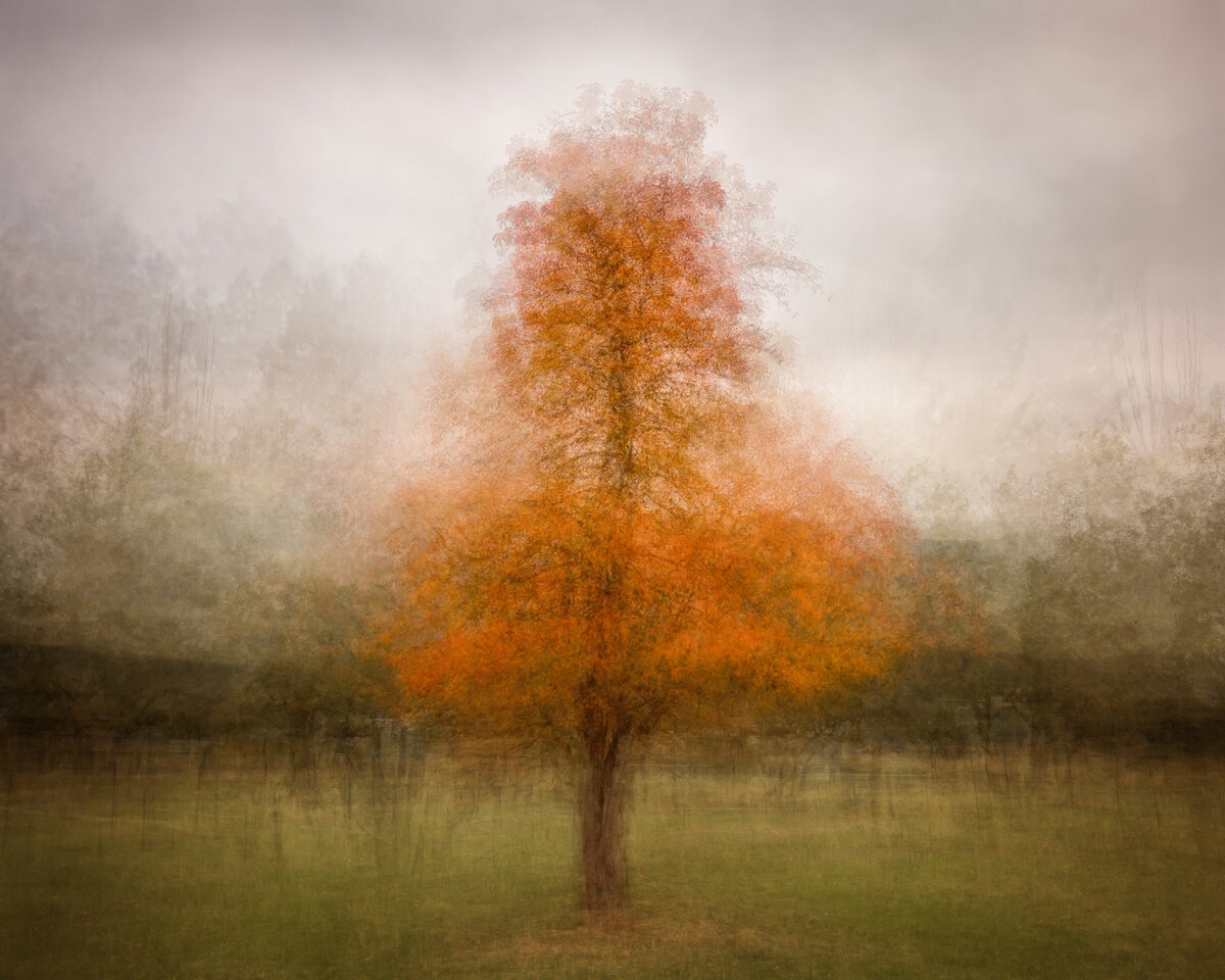 MultipleExposure_Baird-S-1-of-1