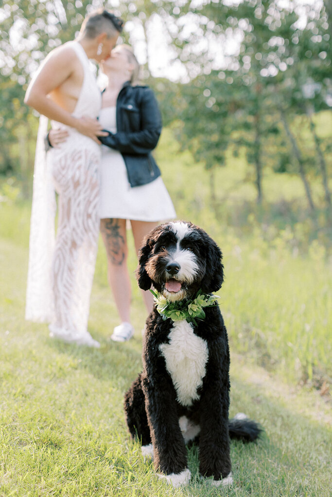 Couple kissing during wedding at Sugar Pine Island, a romantic wedding venue in Foothills, Alberta, featured on the Brontë Bride Vendor Guide.