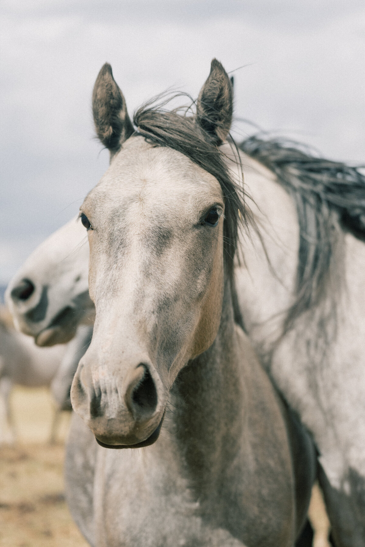 Steamboat_Springs_Ranch_wedding_Mary_Ann_craddock_photography_0002