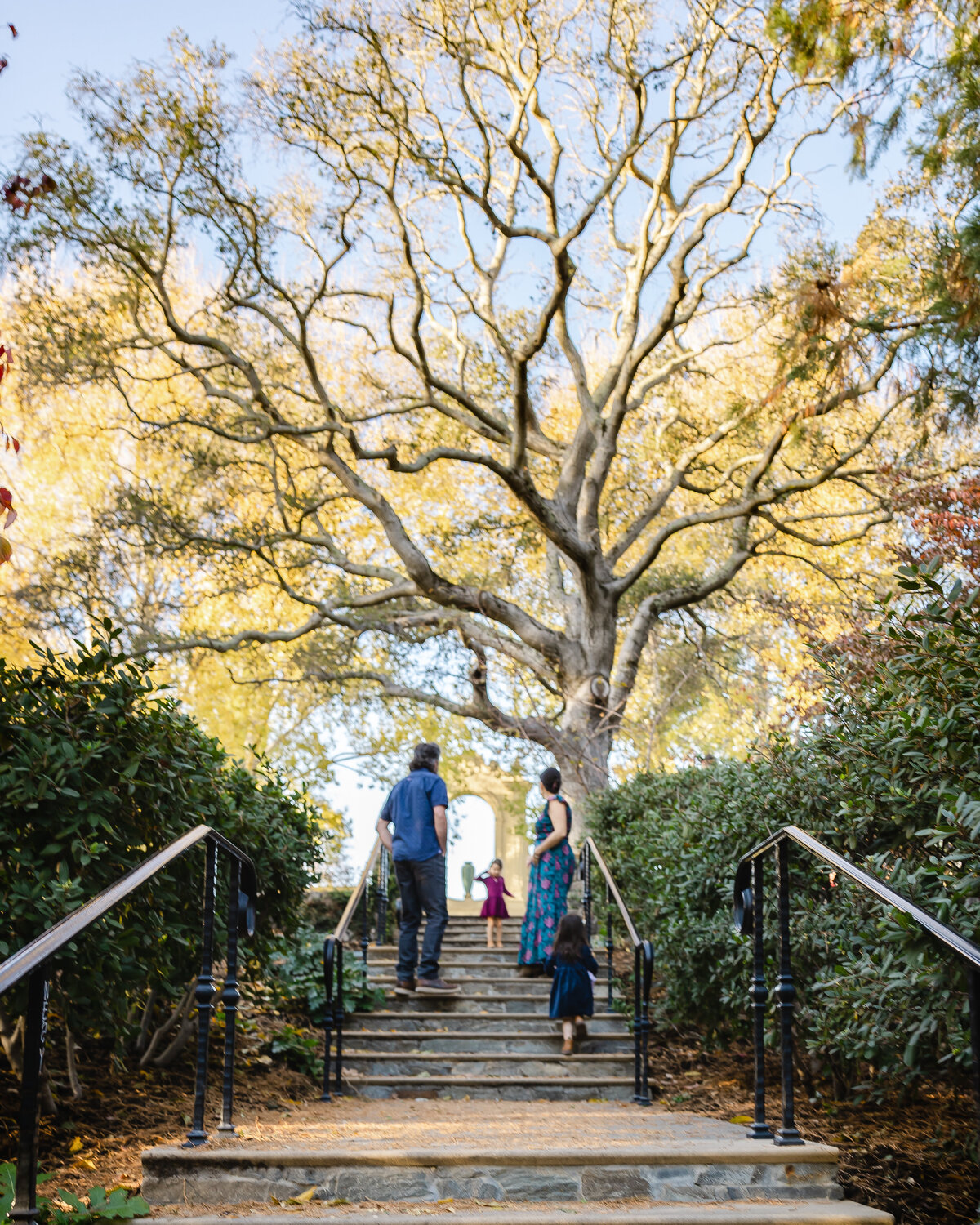 Family walks up steps in front of a beautiful tree