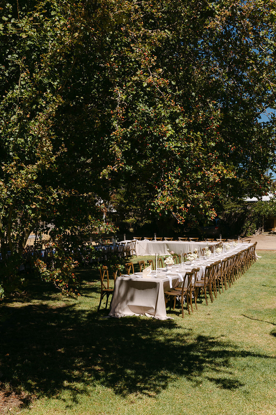 Rach and Max x Ash Haase Photography-584