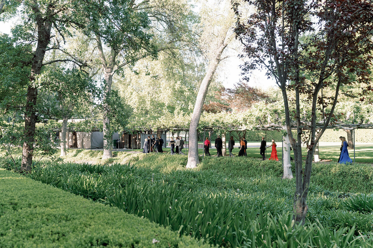 Napa Wedding Photographer 