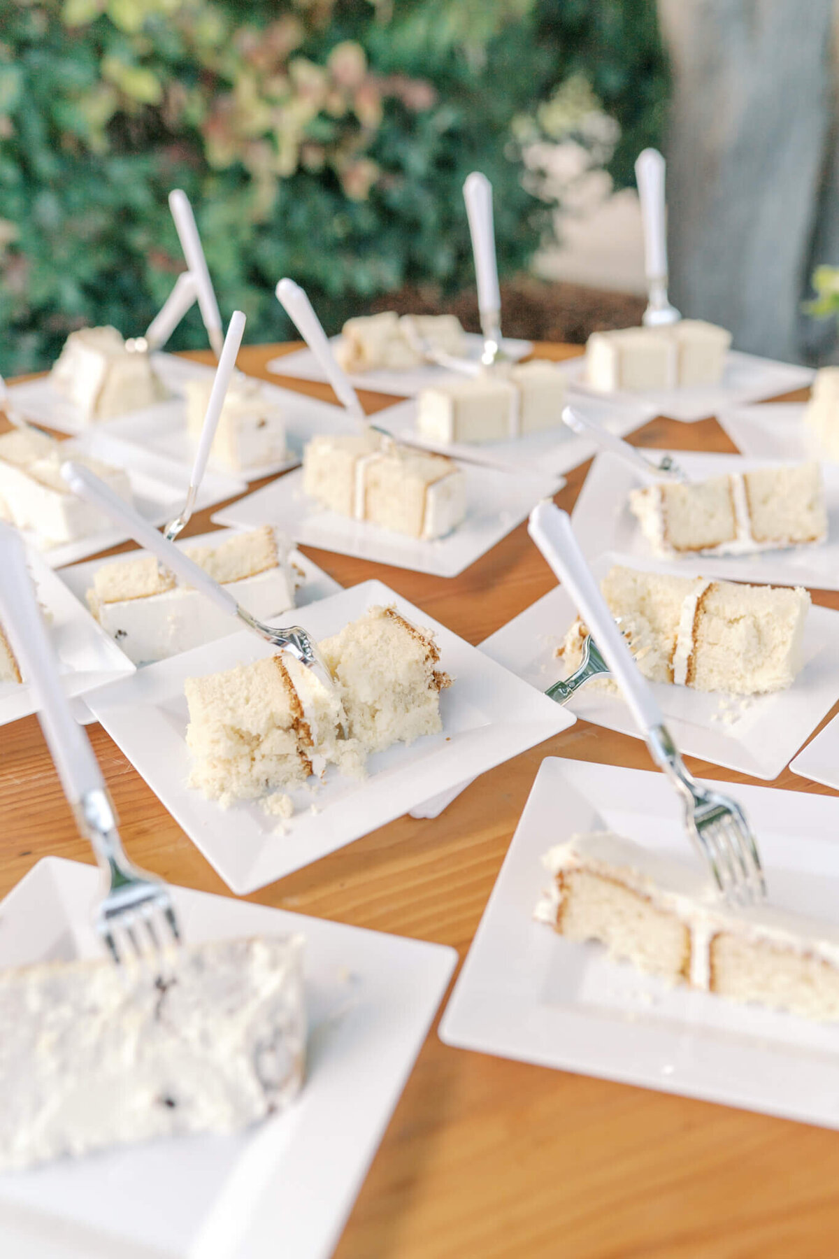 Bridal portrait captured by Vanessa Montano Photography – Livermore vineyard at sunset.