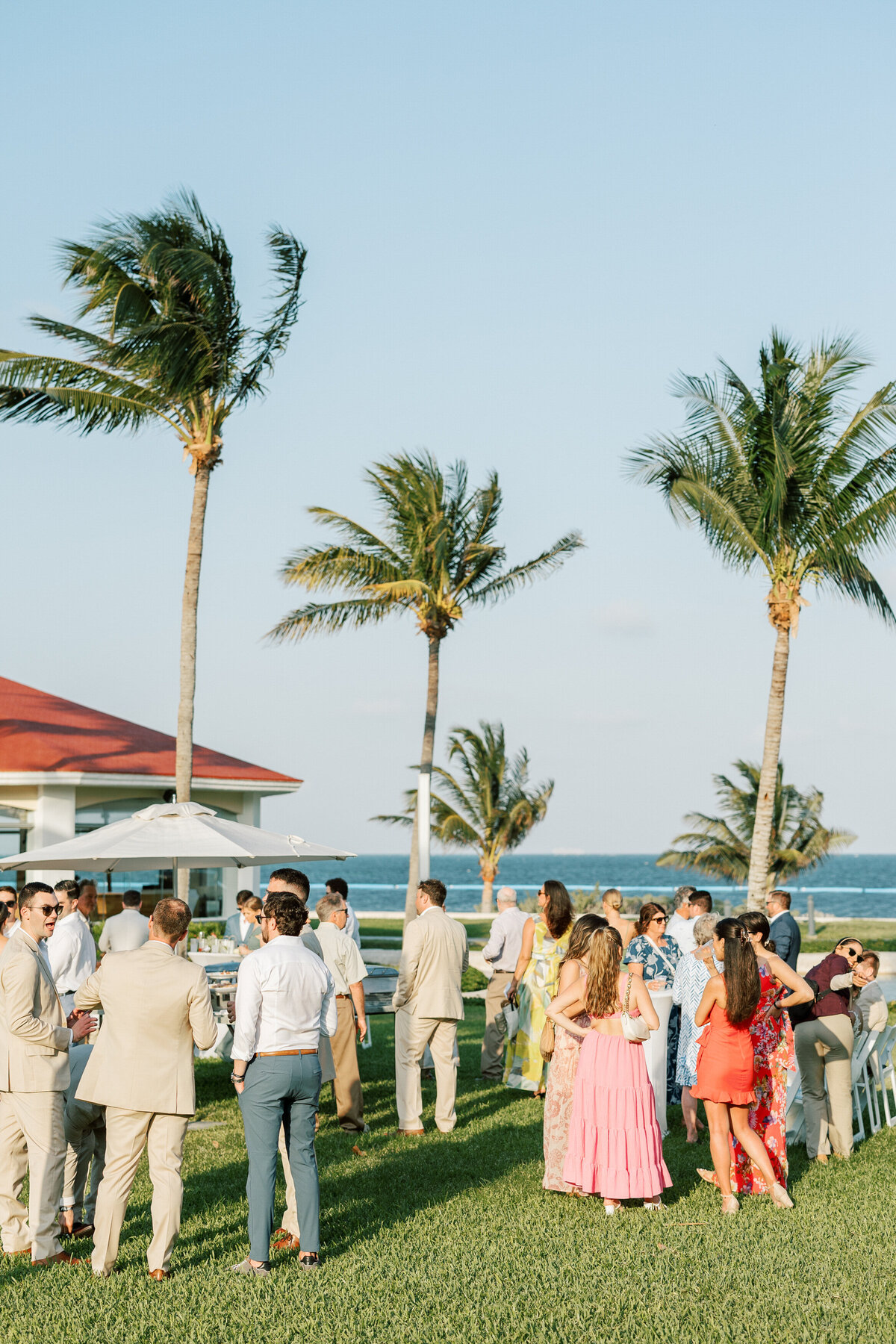 Guests mingle under palm trees at a Cancun beach wedding captured by a Philadelphia wedding photographer.